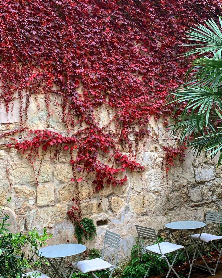 B&B La Maison Galiène Bordeaux Extérieur photo